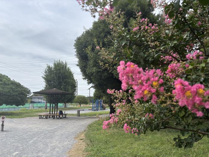 遊びと花木の広場 公園35号地画像
