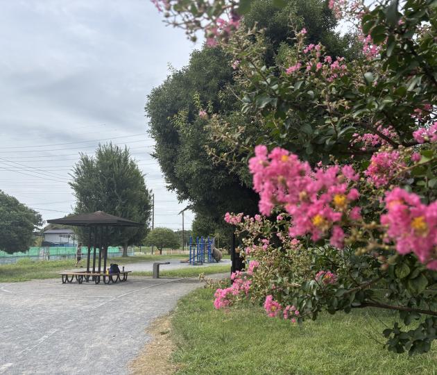 遊びと花木の広場