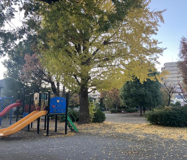 布多公園画像"