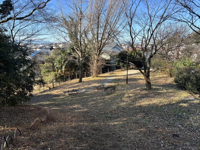 入間いちょう公園画像