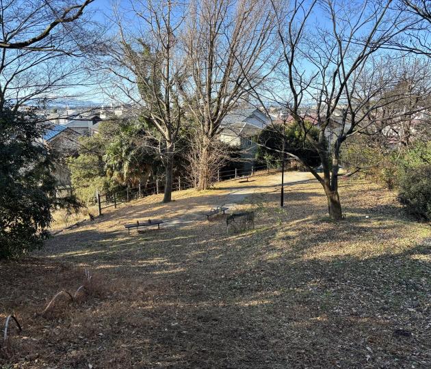 入間いちょう公園画像"