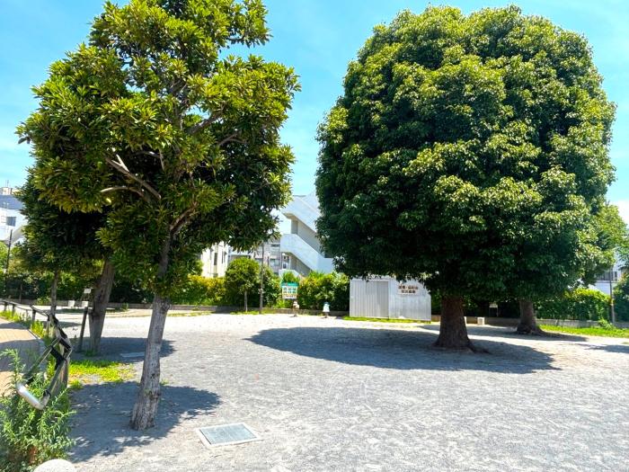 こくきた公園画像
