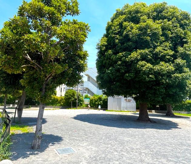 こくきた公園画像"