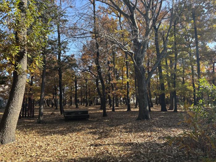 くぬぎ林仲よし広場画像