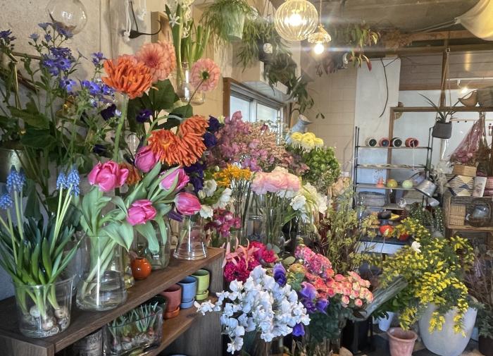 Material office KIK　（マテリアルオフィスキク）画像