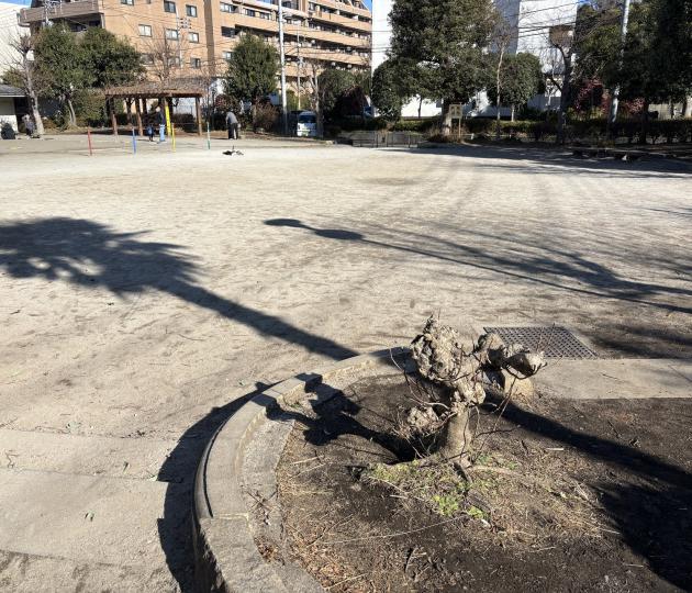 陵山公園画像"