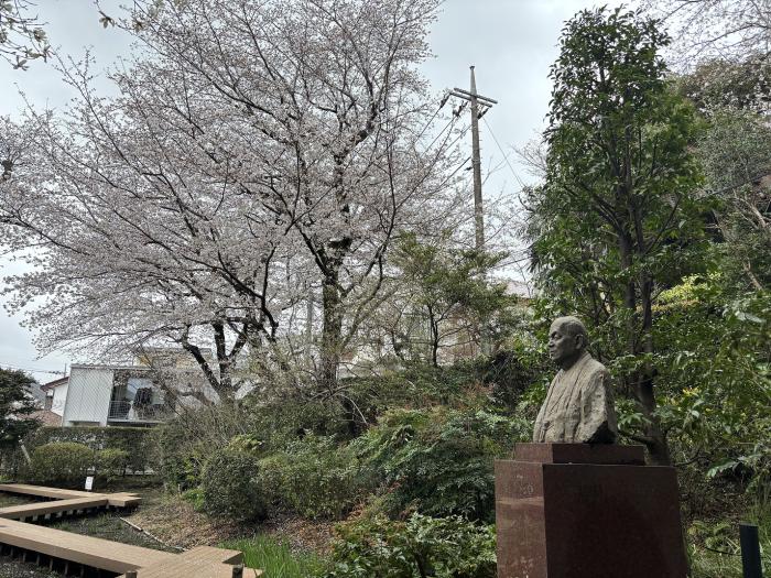 実篤公園画像