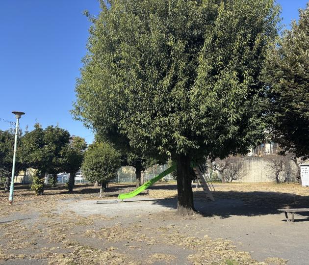 しいの木公園画像"