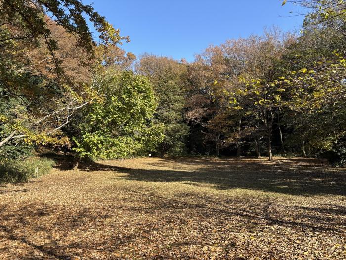 深大寺自然広場（通称カニ山）画像