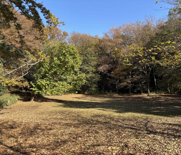 深大寺自然広場（通称カニ山）画像"