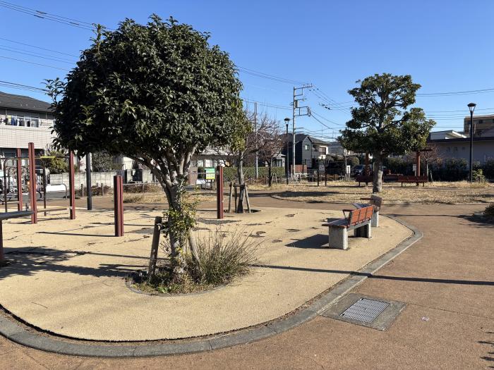 調布台タブノキ公園画像