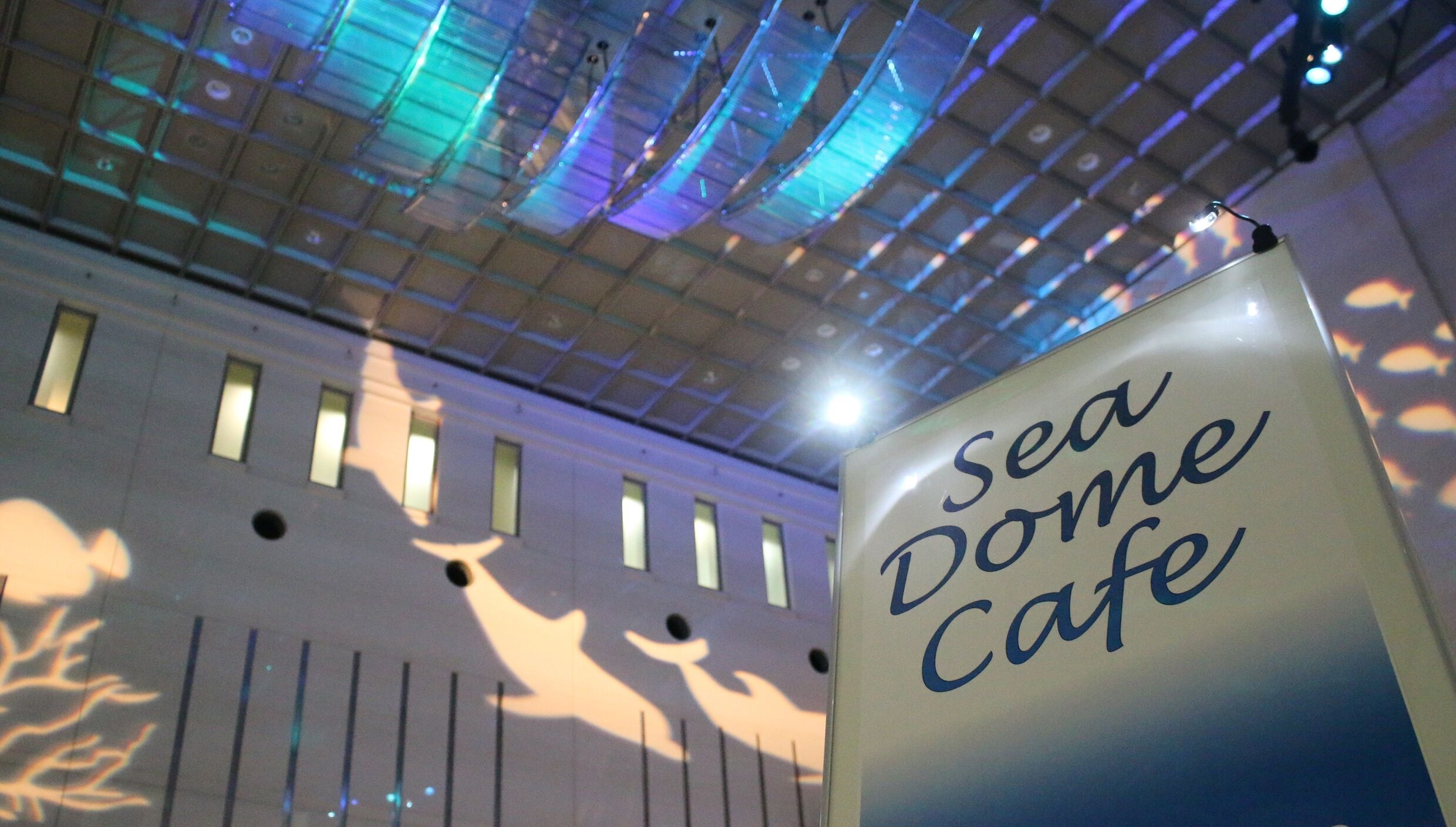 Sea Dome Cafe画像