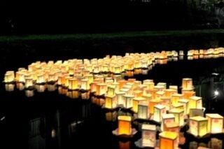 灯籠流しの写真