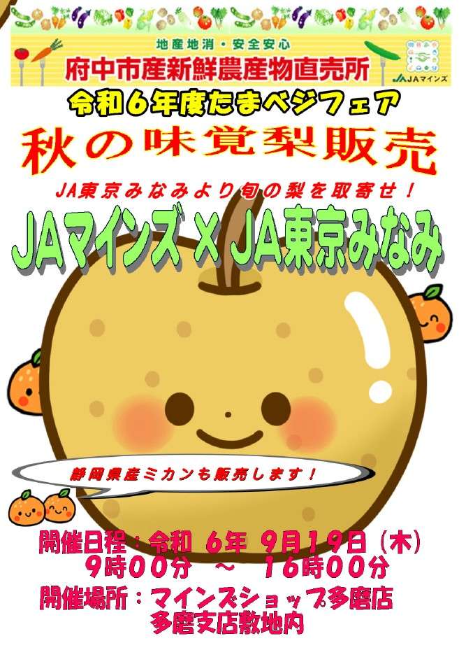 秋の味覚　梨を販売「たまベジフェア」開催！画像