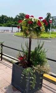 飛田給駅前広場の花壇の植替え