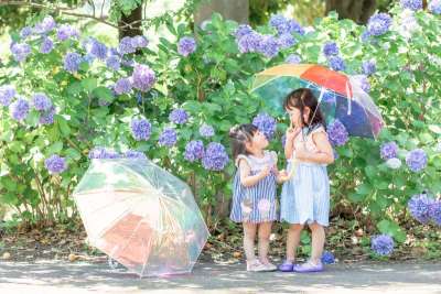 子どもの成長の節目を素敵な写真に♪の画像