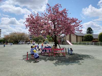 マルガリタ幼稚園　令和8年度入園説明会＆園内見学の画像