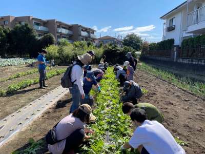 自分で野菜を育てて食べられる！「親子でアグリ」農業体験参加者募集の画像
