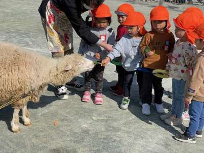 【事前申込不要】たくさんの動物と触れ合える♪ 移動動物園