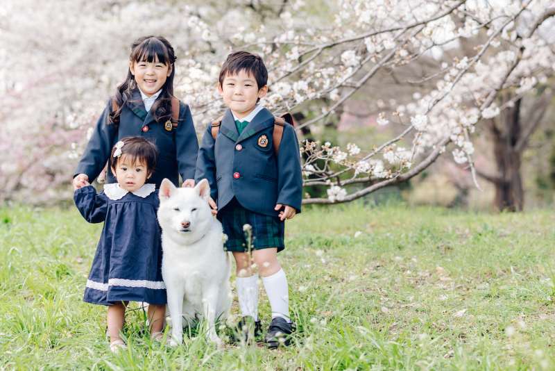 卒入園、卒入学の記念撮影は「Irodori Studio」で♪画像