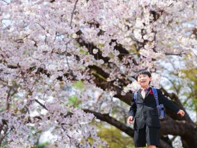 3/31(火)、4/1(水) 入園・入学の記念に！桜の下で家族の「今」を残す撮影会の画像