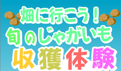 【参加者募集】旬のじゃがいも収穫体験の画像