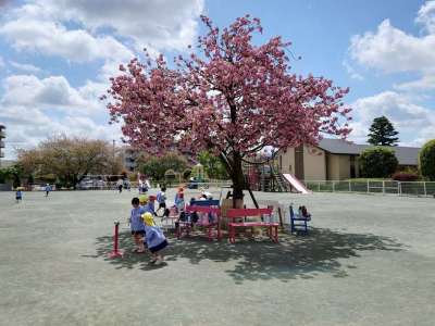 マルガリタ幼稚園　令和9年度入園説明会＆園内見学の画像