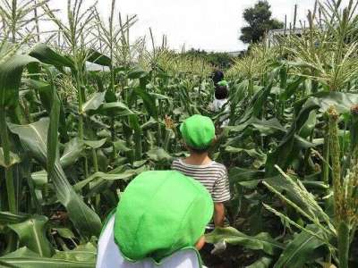 調布多摩川幼稚園　令和9年度入園説明会の画像