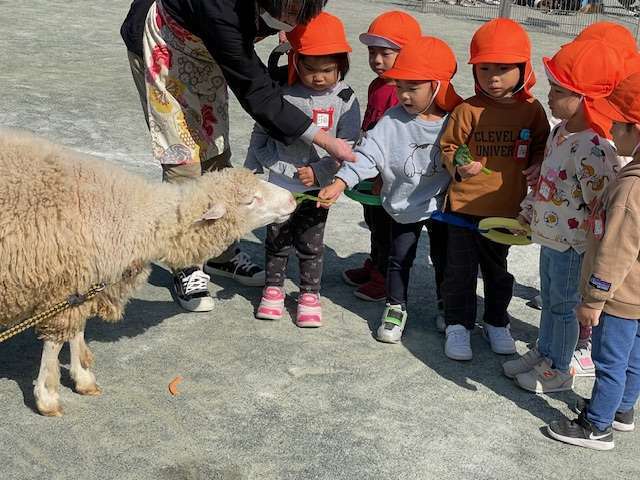 【事前申込不要】たくさんの動物と触れ合える♪  移動動物園画像