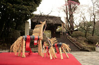 ネット通販、クレジット払い始めました！