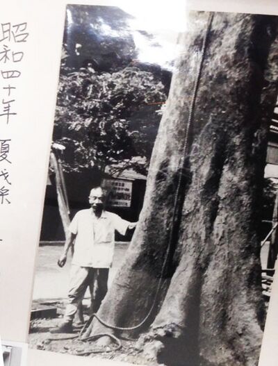 “えの木”駐車場　名称の由来～