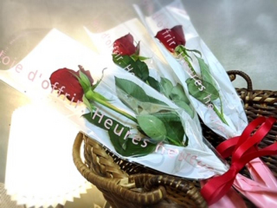 ✴︎一輪ラッピング✴︎