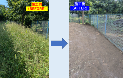 草むしり・剪定