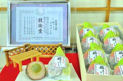 五宿天神 梅むらさき