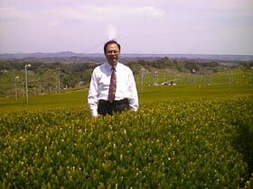 ここが我が銘茶のふるさと、静岡県掛川・農林水産大臣賞受賞茶園です。