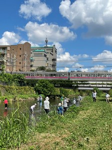 水辺の学校